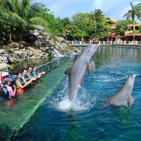 Increible Estudio En Puerto Aventuras, Condominio Con Alberca # 201 المظهر الخارجي الصورة