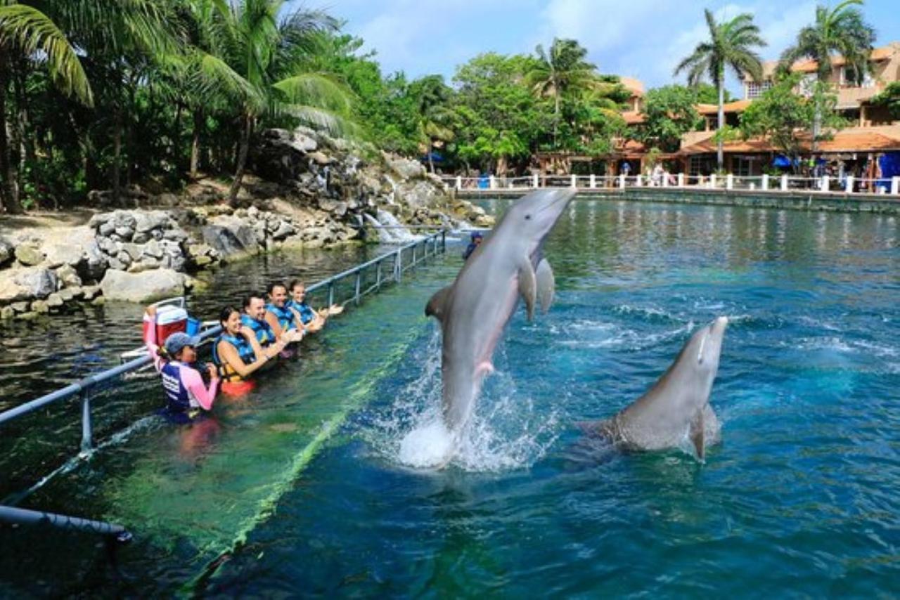 Increible Estudio En Puerto Aventuras, Condominio Con Alberca # 201 المظهر الخارجي الصورة